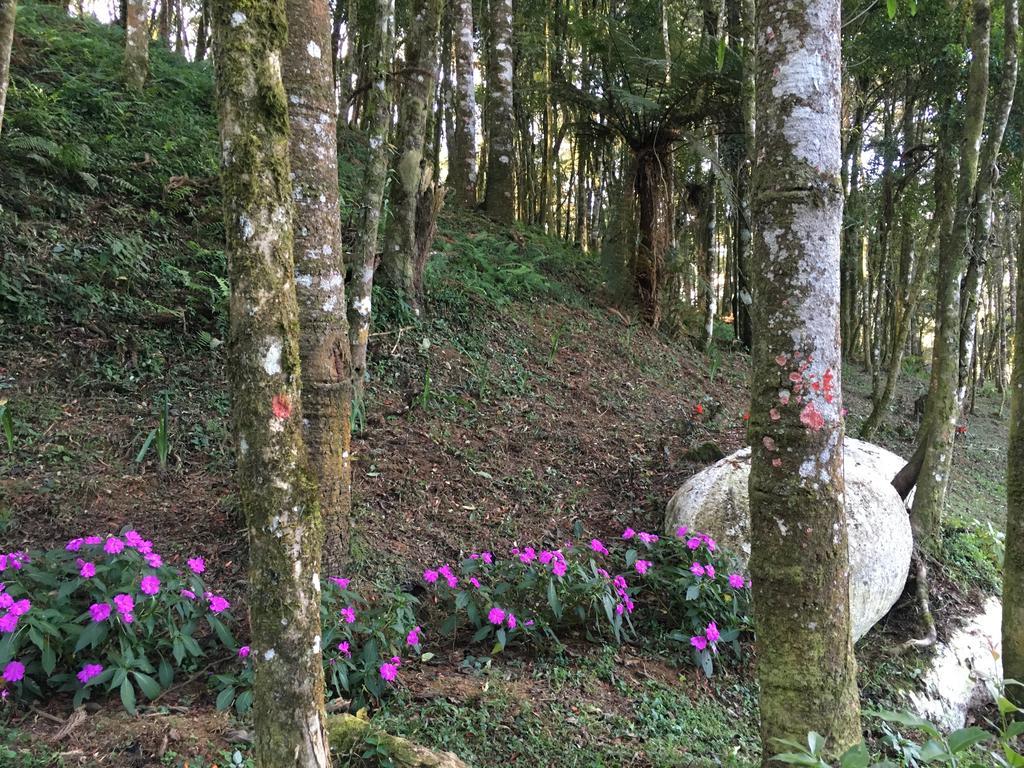 Chales Vila Flor Гонсалвис Экстерьер фото